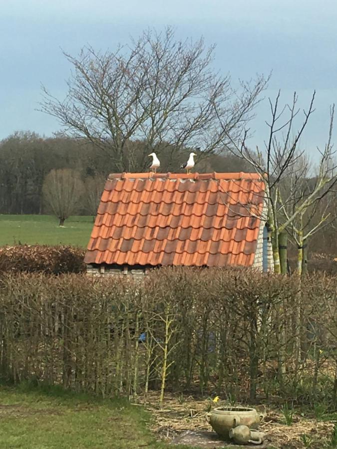 B&B De Hostelier ウルセル エクステリア 写真